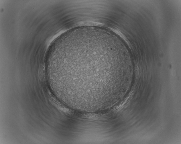 X0000070340971200606231528