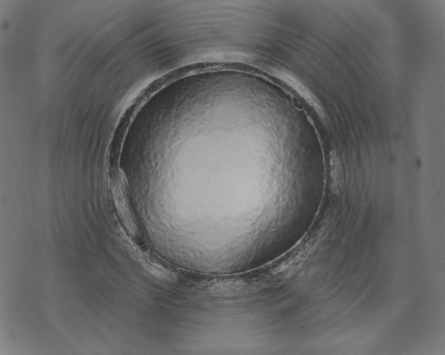 X0000070340972200606231528