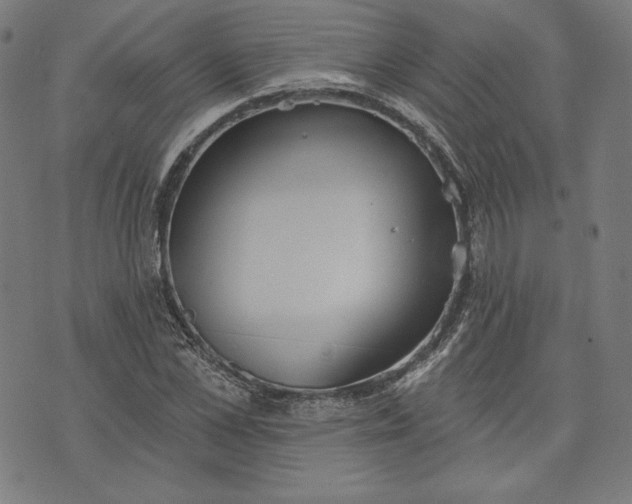 X0000070340973200606231528