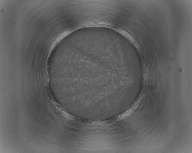 X0000070340974200606231528