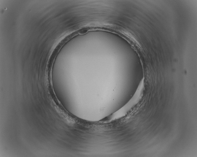 X0000070340976200606231528