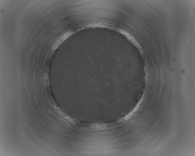 X0000070340977200606231528