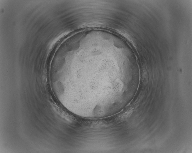 X0000070340979200606231528