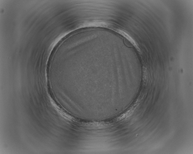 X0000070340980200606231528