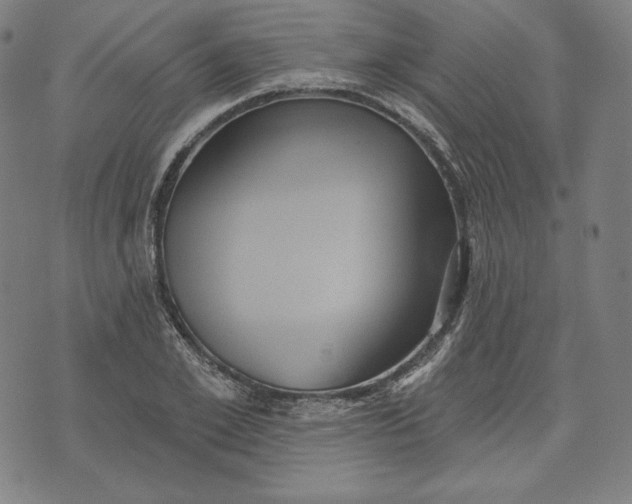 X0000070340981200606231528