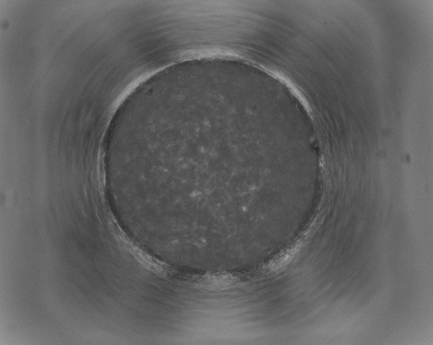 X0000070340983200606231528