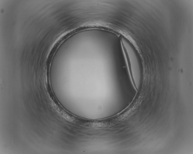 X0000070340984200606231528