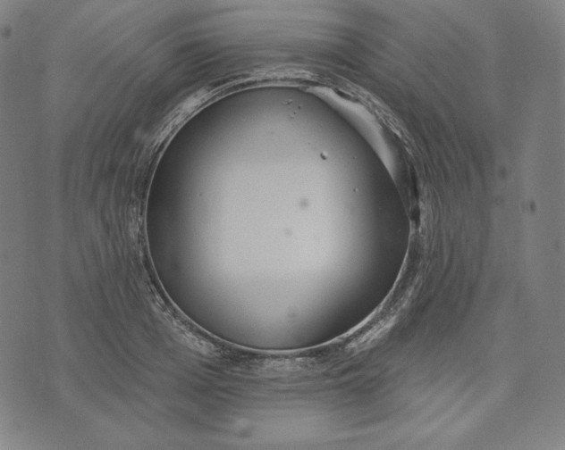 X0000070340985200606231528