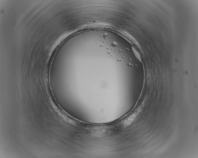 X0000070340989200606231528