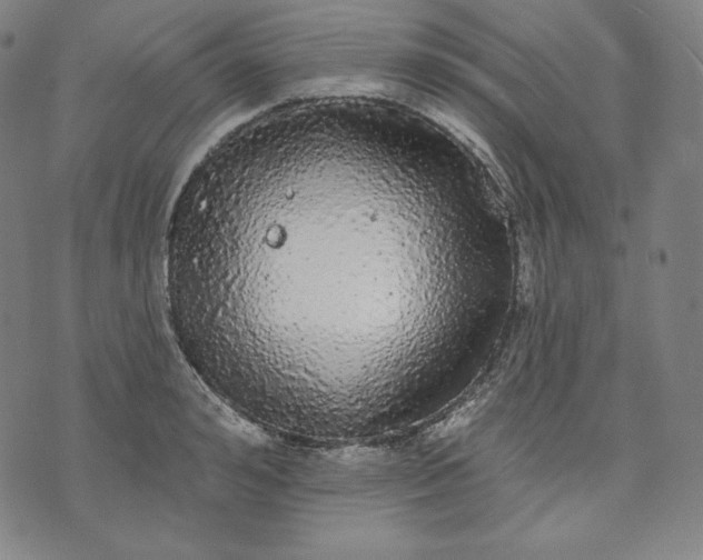 X0000070340992200606231528