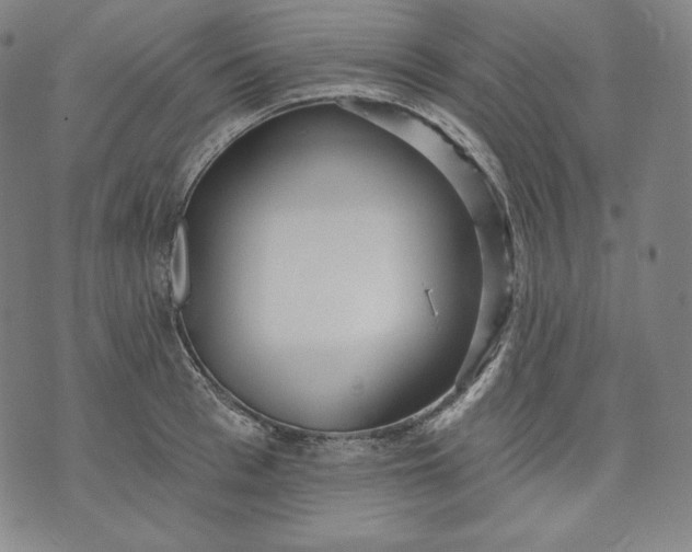 X0000070340993200606231528