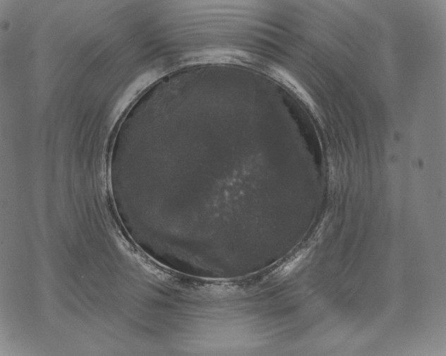 X0000070340994200606231528