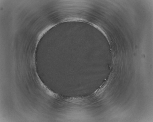 X0000070340995200606231528