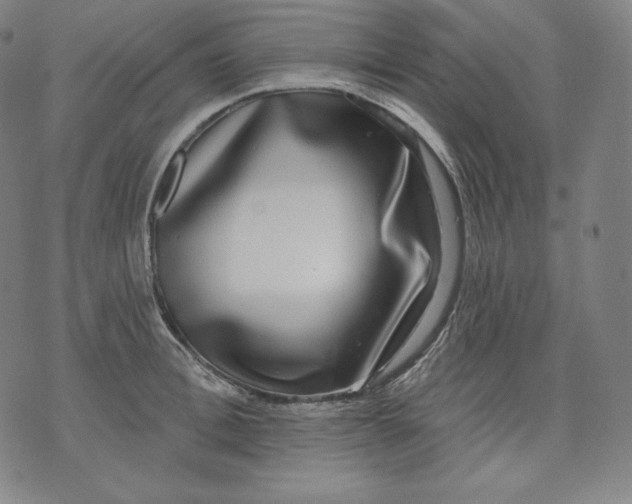 X0000070340996200606231528