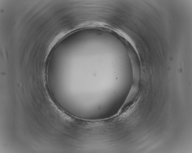 X0000070340997200606231528