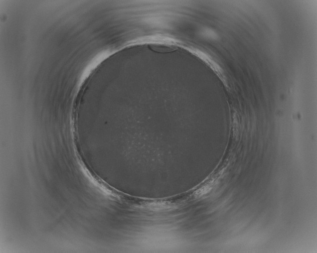 X0000070340998200606231528