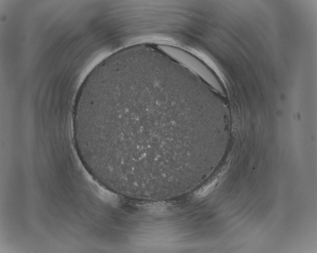 X0000070340999200606231528