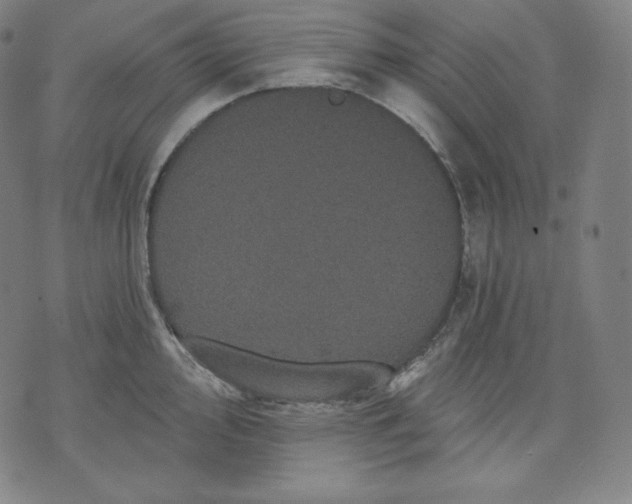 X0000070341000200606231528