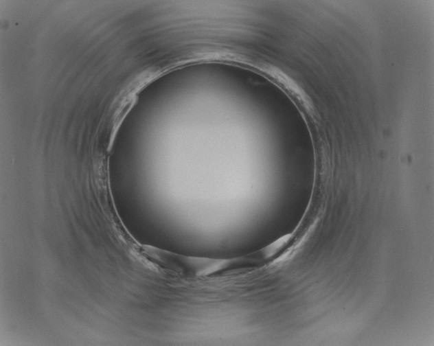 X0000070341001200606231527