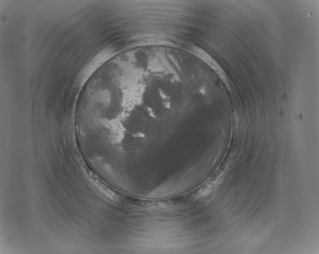 X0000070341002200606231527