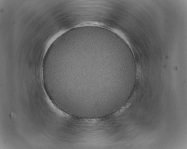 X0000070341003200606231527