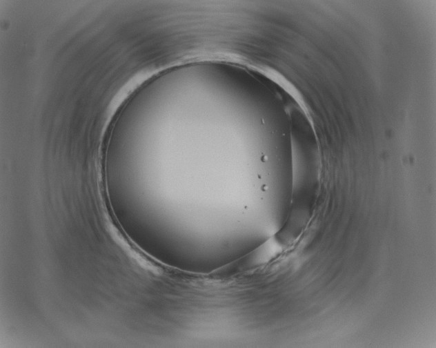 X0000070341005200606231527