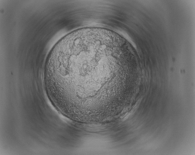 X0000070341007200606231527