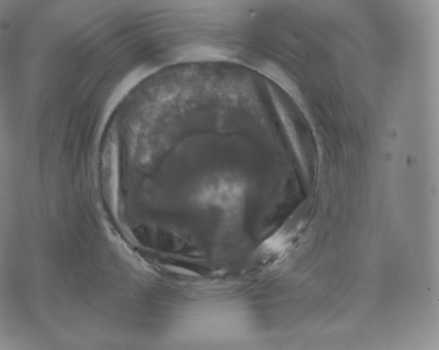 X0000070341008200606231527