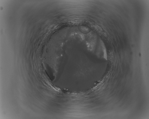 X0000070341009200606231527