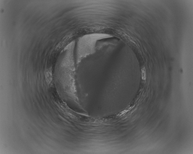 X0000070341011200606231527