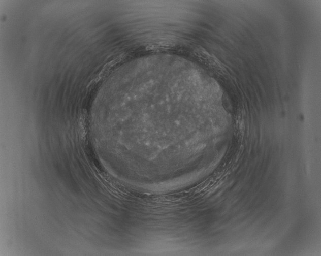 X0000070341012200606231527