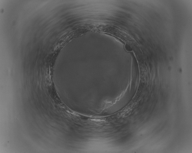 X0000070341013200606231527