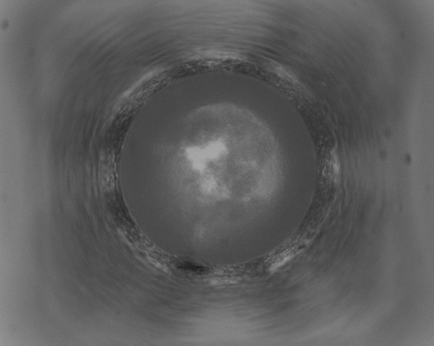 X0000070341014200606231527