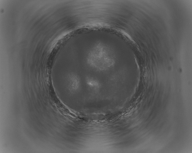 X0000070341016200606231527