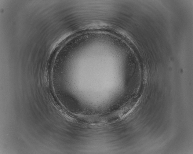 X0000070341018200606231527