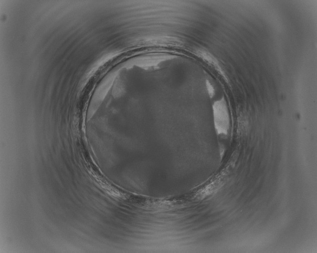 X0000070341019200606231527