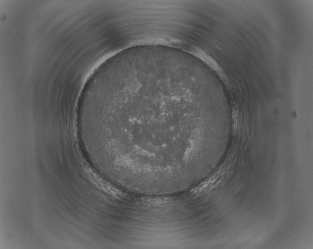 X0000070341020200606231527