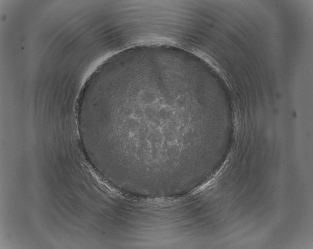 X0000070341022200606231527