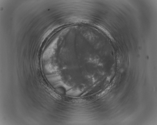 X0000070341023200606231527