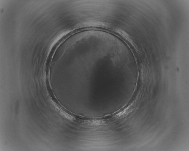 X0000070341024200606231527