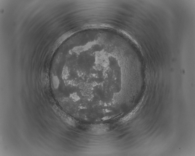 X0000070341025200606231527