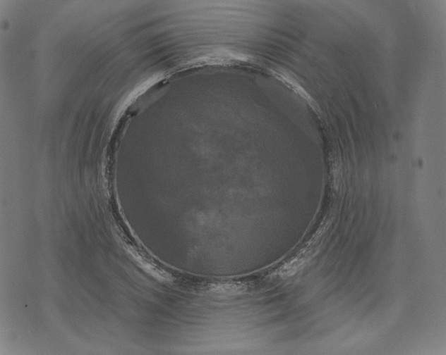 X0000070341026200606231527