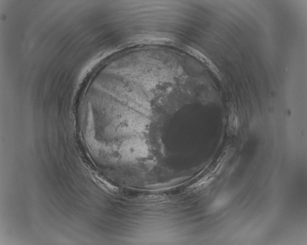 X0000070341027200606231527