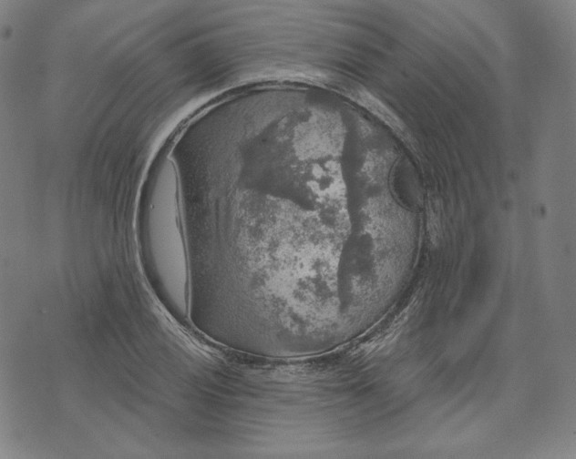 X0000070341028200606231527