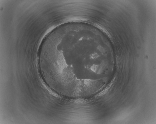 X0000070341029200606231527