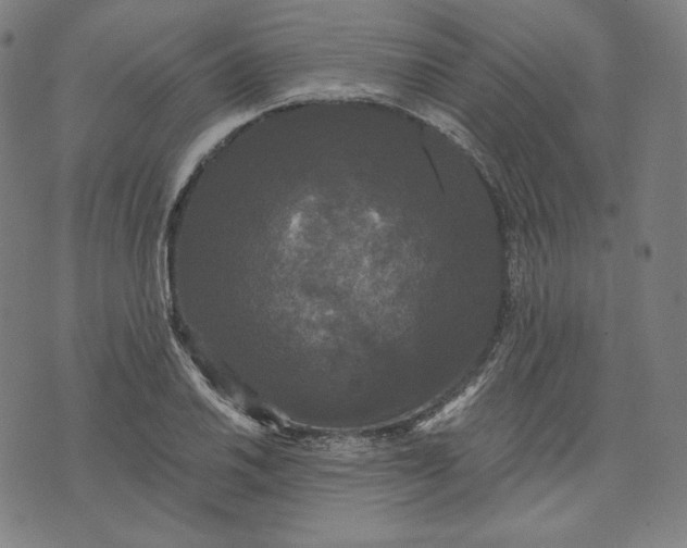 X0000070341030200606231527