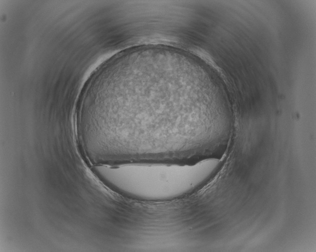 X0000070341032200606231527