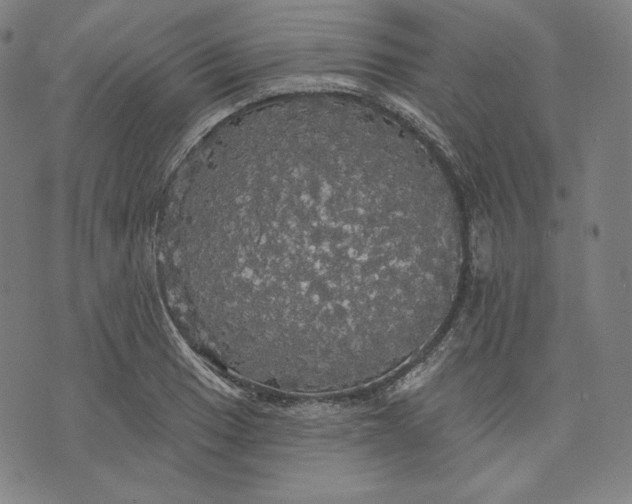 X0000070341033200606231527