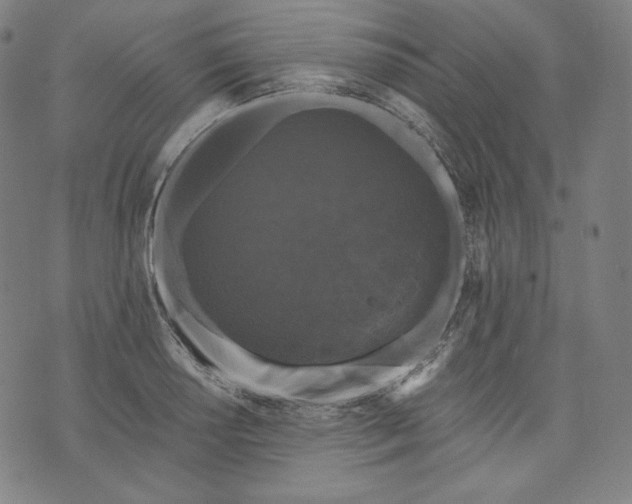 X0000070341034200606231527