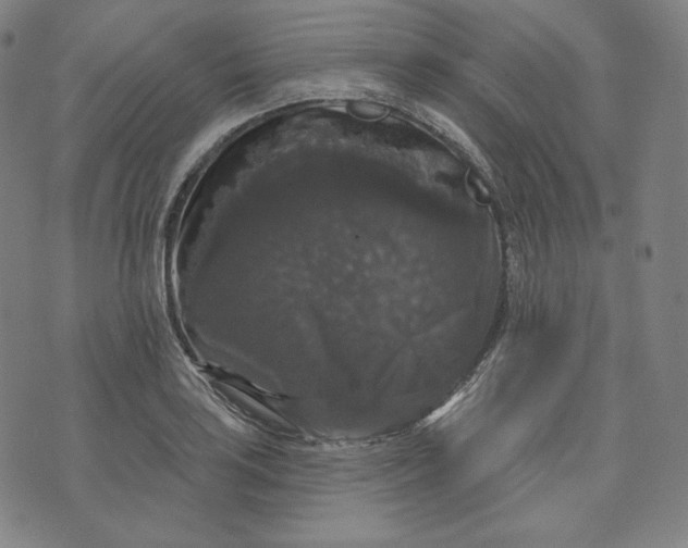 X0000070341035200606231527